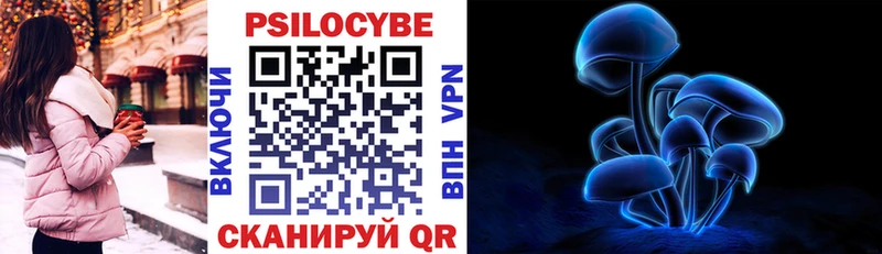 Псилоцибиновые грибы Psilocybine cubensis Мурманск